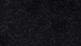 Atlantic Black Labrador