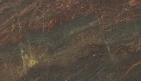 Kangaroo