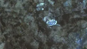 Labradorite Lemurian