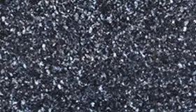 Labrador Blue Pearl