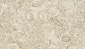 Shell Reef Beige