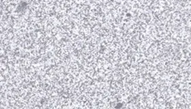 Bianco Tarn Silver Star