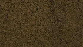 Tropic Brown