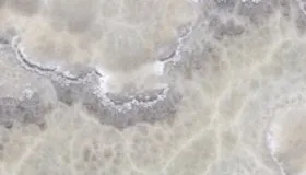 Bubble Onix