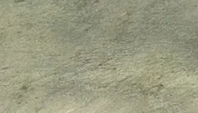 Glitter Green