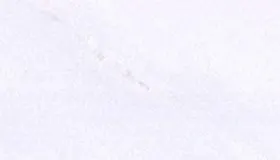 Bianco Neve