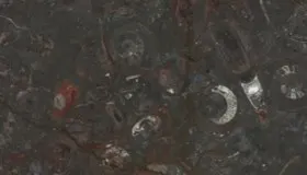 Gran Fossile