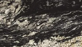 Black Spectrus