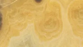 Onice Kilimangiaro