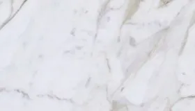 Calacatta Carrara Gold
