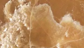 Stalattite Oro
