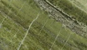Irish Green