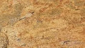 Golden Oak