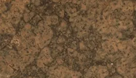 Summer Brown
