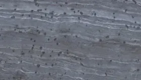 Black Meteorite
