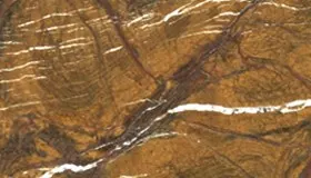 Rain Forest Gold