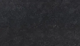 Labrador Black And Gold