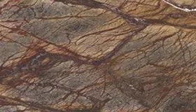 Rain Forest Brown