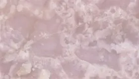 Onice Pink Top