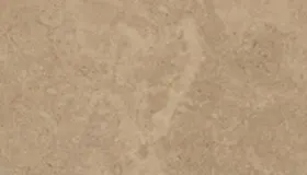 Vilhonneur Limestone