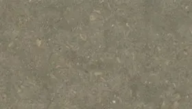 Fossil Limestone