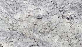Delicatus White