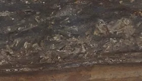 Brown Cappella