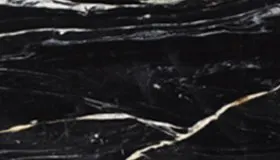 Zebrino Black Gold