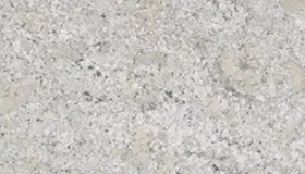Fantastic White