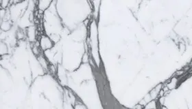 Statuario Venato