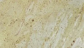 Kashmir Cream