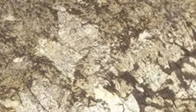 Delicatus Antique