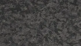 Black Bird