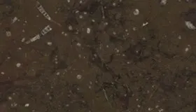 Fossil Brown